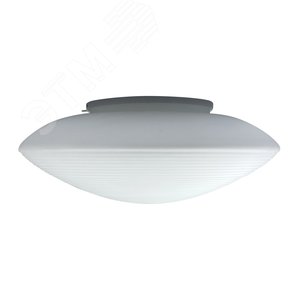 Светильник НПБ-01-2х60-133 MaxeL 10-236 Спринт опаловый матовый - фото 2