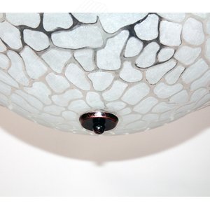 Светильник Аппиа 400 НПБ 01-3х60-160 корпус Орнамент медь ИУ (1005151681) 4