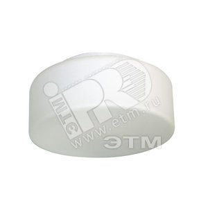 НПО-22-2х60-211 Диско 250 опал мат. - Элетех