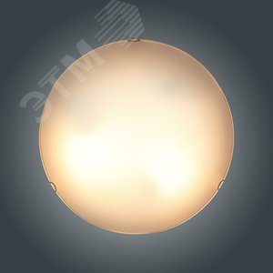 Светильник Мелани 400 НПБ 06-3х60 М65 матовый белый клипсы хром ИУ - фото 6