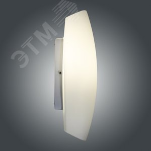 Светильник НББ-21-60 М28 Вектор опал матовый (1005204873) 5