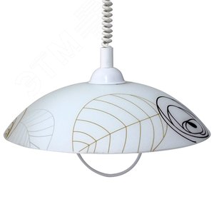 Светильник Колорика Флор 410 НСБ 72-60 М52 мат.бел.-кор.-желт..лифт белый ИУ (1005253185) 2