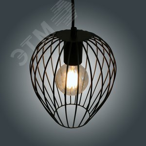 Светильник Шалот 211 ф200 черн.муар НСБ 01-60-147 Е27 ИУ 6