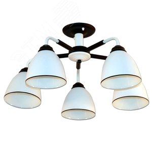 Поло/5-А черн. НПБ 01-5х60-126 Е27 ИУ