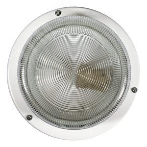 Светильник НПП-03-60-003 IP65 (Селена 3) 2