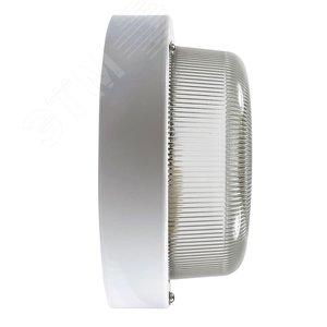 Светильник НПП-03-60-003 IP65 (Селена 3) 3