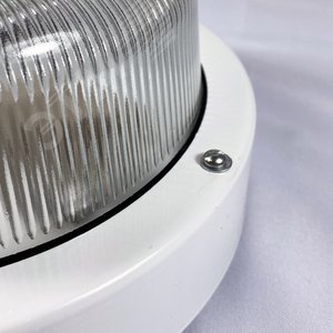 Светильник НПП-03-60-003 IP65 (Селена 3) 4