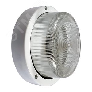 Светильник НПП-03-60-003 IP65 (Селена 3)