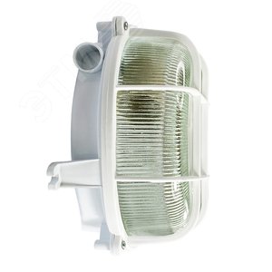 Светильник НПП-03-100-007 IP44 Креа корпус с решеткой белый 2