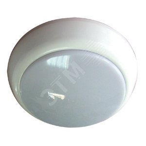 НПО-22-60-250 Микро,Е27,60вт,опал,IP44 - Элетех