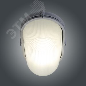 Светильник НПП-03-100-017 IP65 Банник 1201 Овал большой матовый/корпус белый - фото 4
