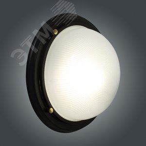 Светильник Самарканд 1101 Круг большой НПП 03-100-009 IP65 матовый корпус дер. венге ИУ - фото 4