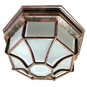 Светильник Тартаруга НПП 03-100-005 IP44 матовый /корпус с решеткой медь ИУ - фото 2