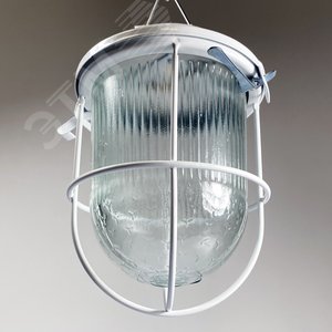 Светильник светодиодный ДСП-01-09-104 36В IP54 Желудь LED - фото 2
