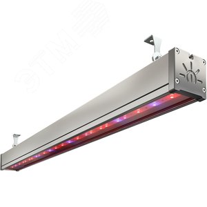 Светильник светодиодный ФИТО-43W IP65 96.6мкмоль/с КСС Г UN (УТ000011747) - Технологии света