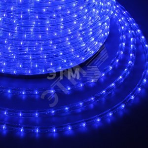 Дюралайт LED, постоянное свечение 2W - синий Эконом 24 LED/м, 100 м - NEON-NIGHT