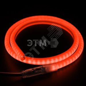 Гибкий Неон LED SMD, форма - D, красный, 120 LED/м, бухта 100м | 131-072 | NEON-NIGHT