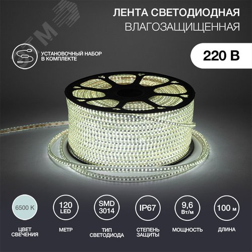 Лента LED уличная 220В, 6x10.6мм, IP67, SMD 3014, 120 LED/м, Белый, 100м - фото 3