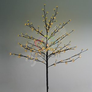 Дерево комнатное 