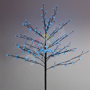 Дерево комнатное 