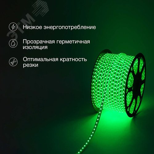 Лента LED герметичная в силиконовой оболочке 220В 13х8мм IP65 SMD 5050 60 диодов/метр зеленый (бухта 50м) - фото 2