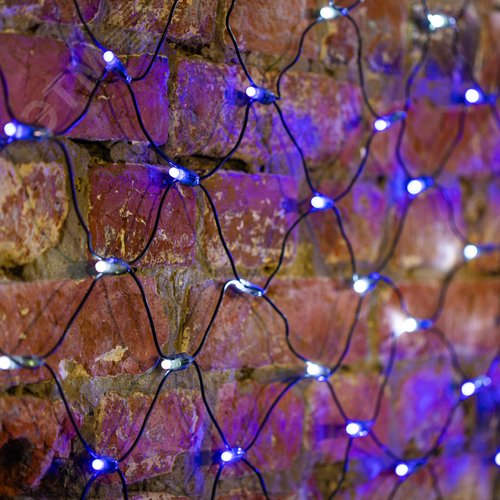 Гирлянда Сеть 2х1,5 м, черный ПВХ, 288 LED белые/синие - фото 2