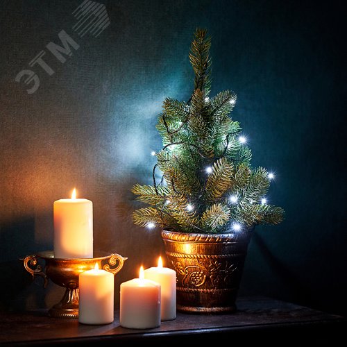 Гирлянда Твинкл Лайт 4 м, темно-зеленый ПВХ, 25 LED, белый 5