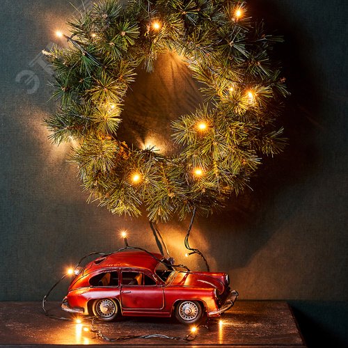 Гирлянда Твинкл Лайт 4 м, темно-зеленый ПВХ, 25 LED, тёплый белый 3