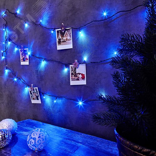 Гирлянда Твинкл Лайт 6 м, темно-зеленый ПВХ, 40 LED, Синий 2