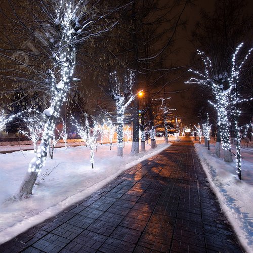 Гирлянда LED клип-лайт 12 V, прозрачный ПВХ, 150 мм, диоды белые 3