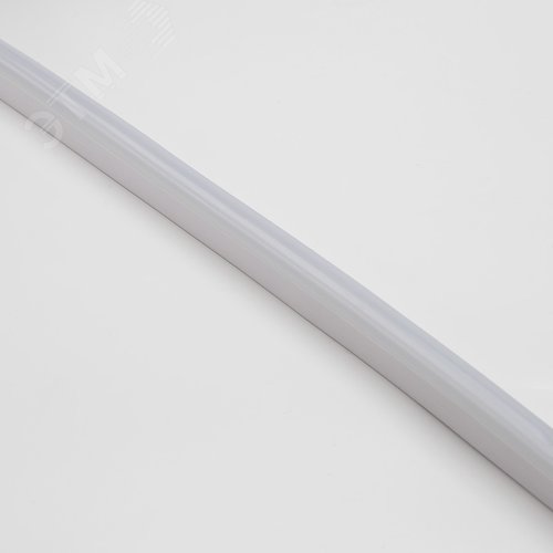 Неон гибкий LED SMD 8х16 мм, односторонний белый, 120 LED/м, 20 м - фото 3