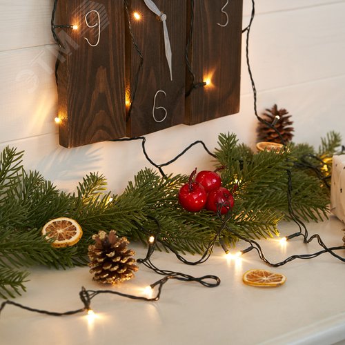 Гирлянда Твинкл Лайт 4 м, темно-зеленый ПВХ, 25 LED, тёплый белый 2