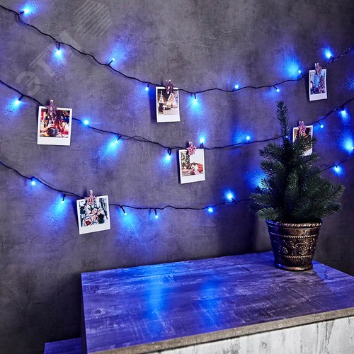 Гирлянда Твинкл Лайт 6 м, темно-зеленый ПВХ, 40 LED, Синий 3