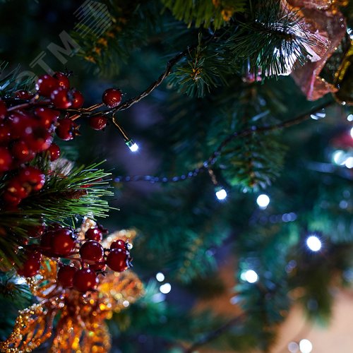 Гирлянда Твинкл-Лайт 20 м, темно-зеленый ПВХ, 160 LED, белый 3