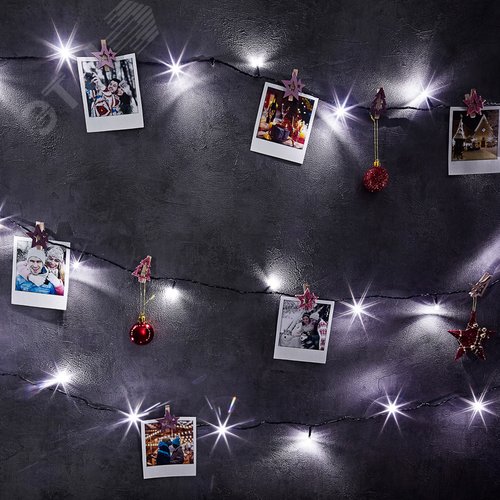 Гирлянда Твинкл Лайт 6 м, темно-зеленый ПВХ, 40 LED, белый 2