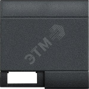 LivingLight Клавиша с 1 отверстием для вставки символа, размер 2 модуля, цвет антрацит