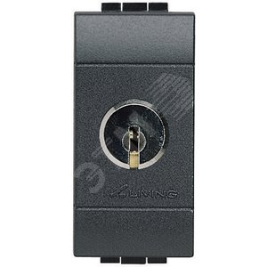 Выключатель 2х полюсный с ключом, 16А - Legrand