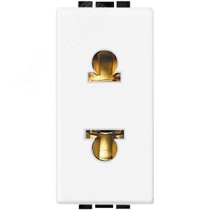 Розетка 2П 16A, 127V Евро-американский стандарт, 1 модуль