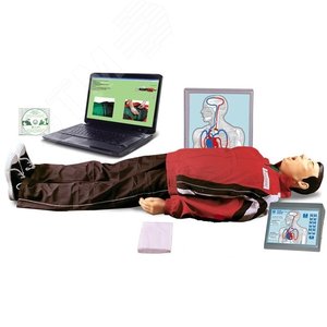 Манекен-Тренажер Максим-III-01