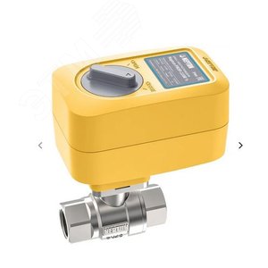Кран с электроприводом Neptun PROFI 220В 3/4' - Neptun