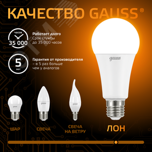 Лампа светодиодная LED 16 Вт 1440 лм 3000К А60 груша теплый E27 AC 220В Black 7