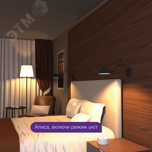 Лампа светодиодная умная SMD LED 8.5 Вт 806 лм 2700К E27 AC 220В IP20 диммируемая управление по Wi-Fi Smart Home 12