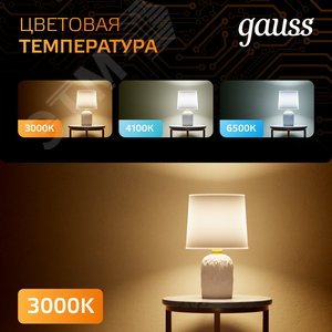 Лампа светодиодная LED 16 Вт 1480 лм 3000К шар G95 теплый E27 AC 220В Black 7
