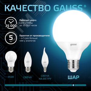 Лампа светодиодная LED 16 Вт 1540 лм 4100К шар G95 нейтральный E27 AC 220В Black 6