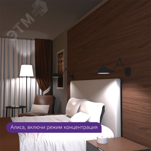 Лампа светодиодная умная LED 6.5 Вт 806 Лм 2000-6500К E27 А60 изм.цвет.темп.+дим. управление по Wi-Fi Smart Home Filament Gauss 10