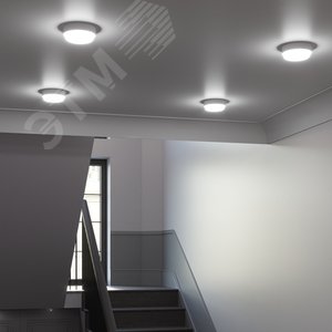 Светильник светодиодный ДБП 8 Вт 800 лм 6500К AC 220В Белый IP65 круг D140х48мм Пластик ЖКХ Elementary 6