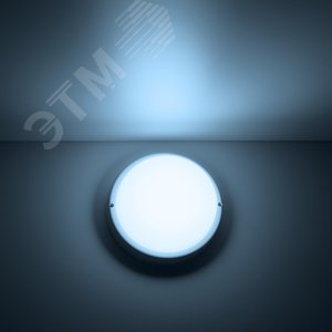 Светильник светодиодный ДБП 12 Вт 1200 лм 6500К AC 220В Белый IP65 круг D140х48мм Пластик ЖКХ Elementary 3