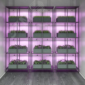 Светильник светодиодный для растений фитосветильник ДПО 12 Вт IP20 865х25х37 мм Fito 5