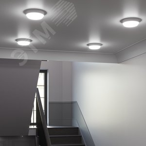 Светильник светодиодный ДБП 15 Вт 1250 лм 6500К AC 220В Белый IP65 круг D175х76мм Пластик ЖКХ Qplus 7