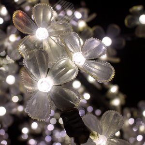 Лампа светодиодная LED 2 Вт 200 Лм 4100К белая G4 капсула 12 В силикон Black Gauss (207707202) 6